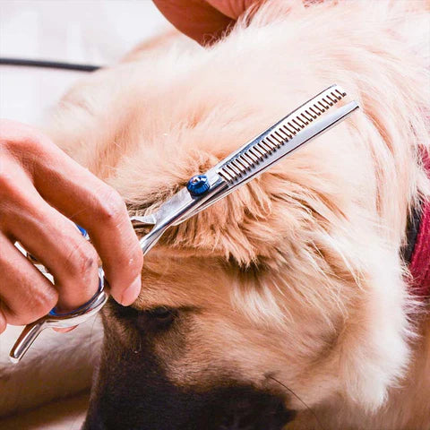 Tesoura Para Tosa Pet 6 em 1