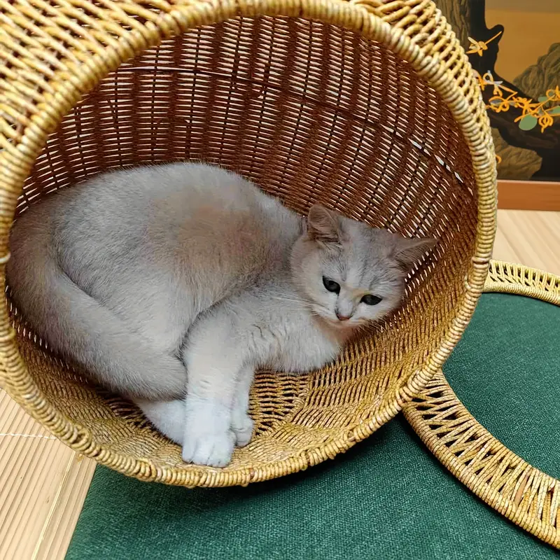 Ninho Suspenso de Vime para Gatos Patinhafix©