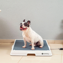 Weasy Cão – O Banheiro Inteligente