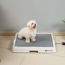 Weasy Cão – O Banheiro Inteligente