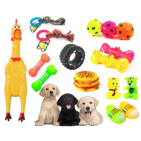 Kit Brinquedos Mordedores Para Pet Cachorro 10Un